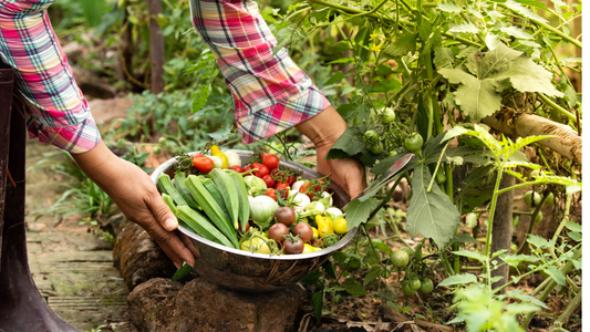 The Dirty Dozen – vardagens kemikalier och hur du gör medvetna val